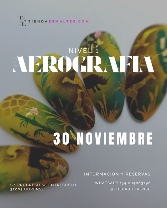 AEROGRAFÍA 30 NOV (Reserva)